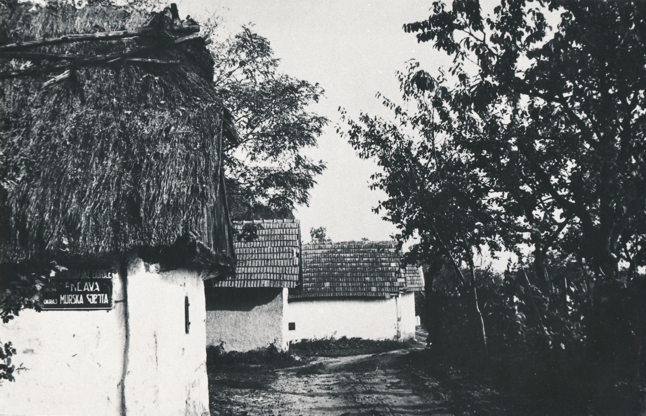 eika image